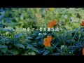 世界で一番奇麗な場所 mink 歌詞動画