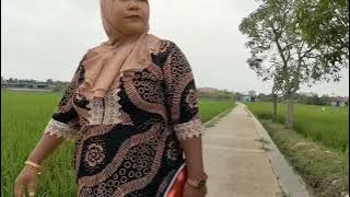 URIP BEBARENGAN | INDRAMAYU SHORT MOVIE FESTIVAL