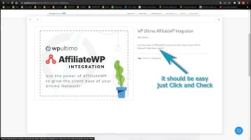 WP Ultimo Assistance Test