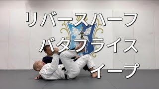 リバースハーフガードからのバタフライスイープ ② / Butterfly Sweep from Reverse Half Guard ②