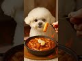 【ASMR】Mimi Eats Spicy Mala Tteokbokki 🌶🐶 | ミミと麻辣トッポッキ마라떡볶이 #pets #咀嚼音 #cute