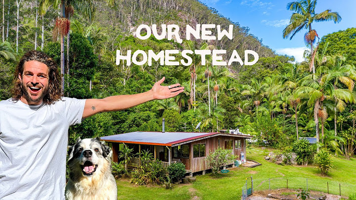 Discovering My Dream 5-Acre Rainforest Property: Off-Grid Homestead Tour & Future Plans