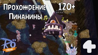 картинка: Прохождение инстанса Пианфорт с Пере Ragnarok Online Prime 4Game #2025 #ragnarokonline #аниме #соло