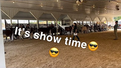 The Troy Fair is a go!!!