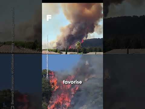 Des incendies hors de contrôle en Méditerranée !