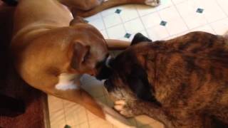 Lilly giving Uncle Henry some love -3