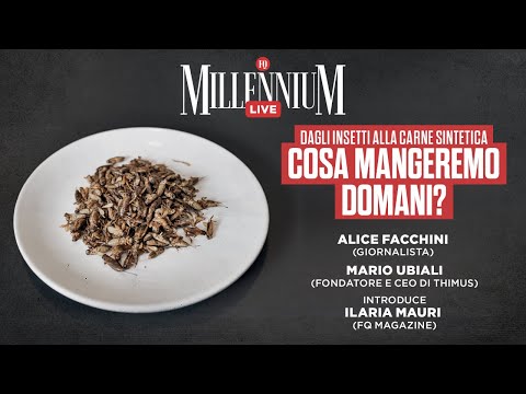 Video: Le locuste mangeranno carne?