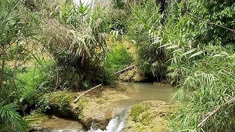 Trải nghiệm thác Tạt Nàng