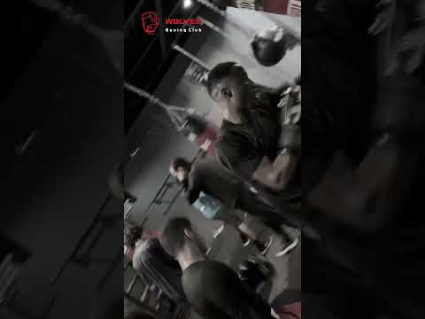 نادي ذئاب الملاكمة الجهد والمجهود طريقك للتميز