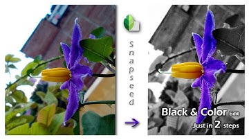 Black & Color edit with in 2 Steps | Snapseed editing | Mobile editing tutorial | B/W edit