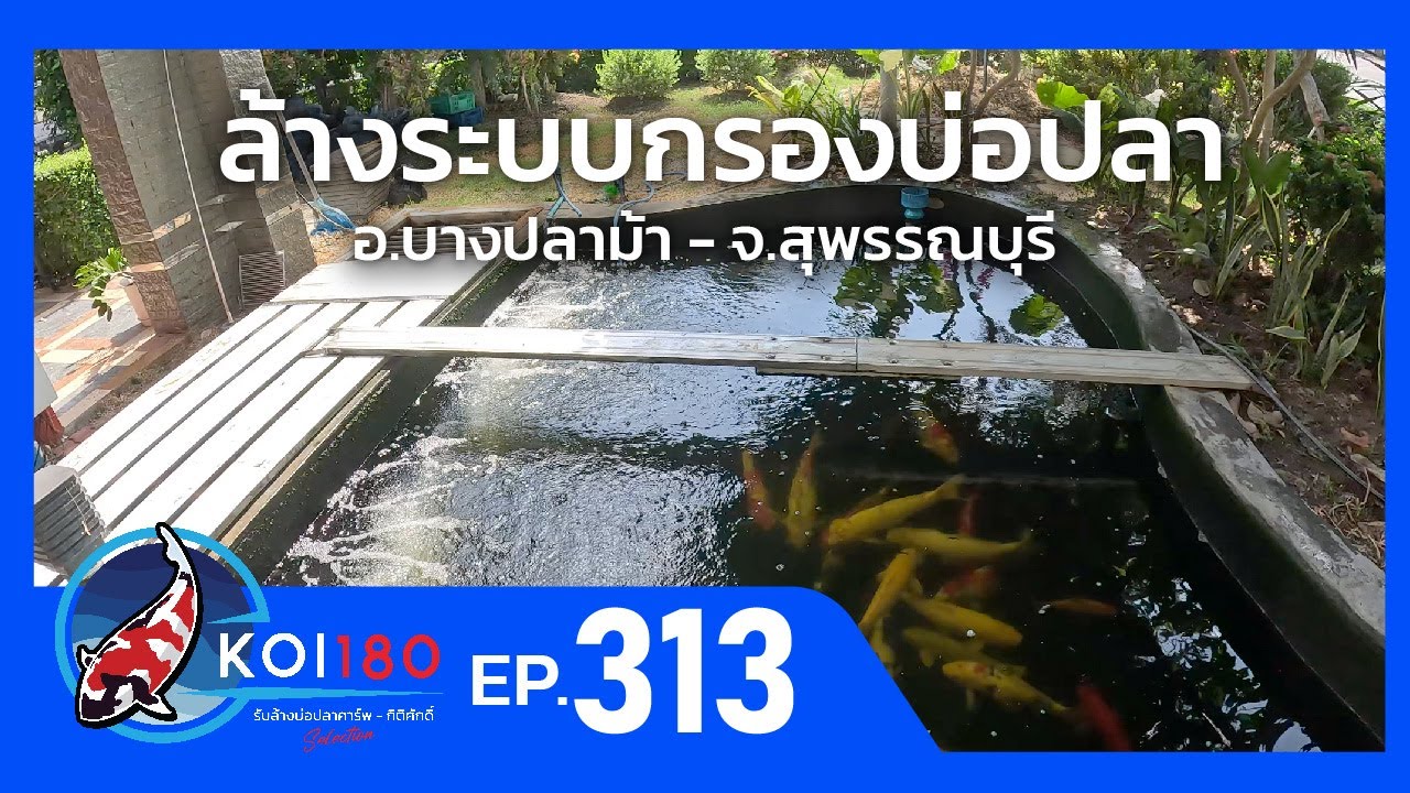 ล้างระบบกรอง อ. บางปลาม้า จังหวัด สุพรรณบุรี