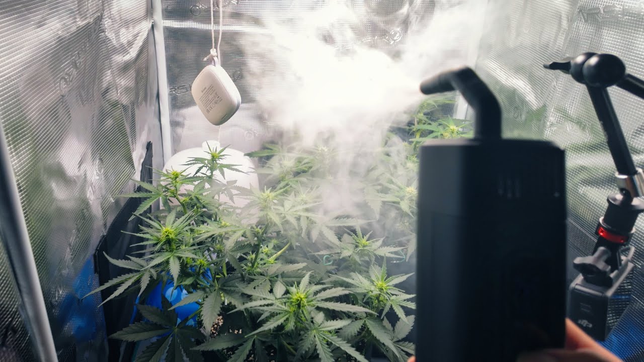 Grow Zelt Upgrade - Schalldämmung für Abluft & Airflow Visualization | Cannabis Anbau