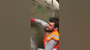 Spray Machine k-rendering