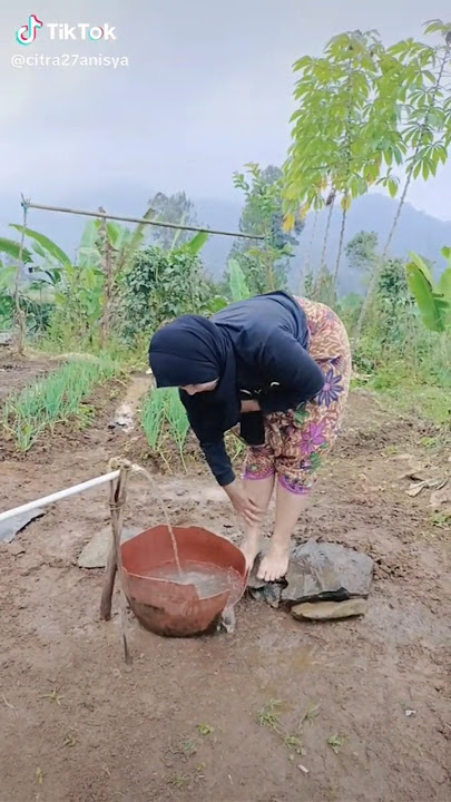 Video Hot Offer Cewek Seksi Dan Cantik Lagi Tanam Padi Di Sawah Kampung Terbaru