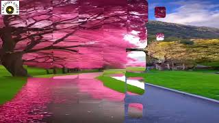 Avenue   -   Moavii