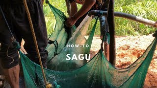 How to Process Sagu (Southeast Sulawesi) | Indonesian food