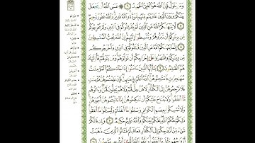 سورة الممتحنه | الشيخ نورين محمد صديق | Surat Al-Mumtahana | Nourin Mohamed Siddiq