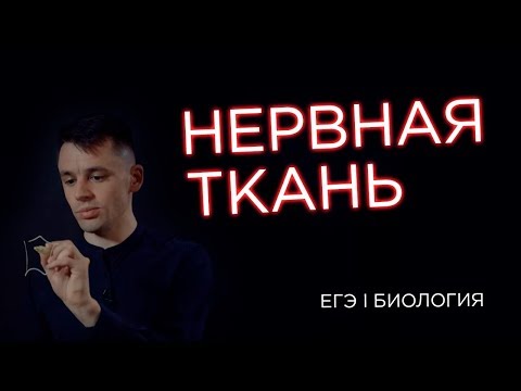 Нервная ткань I ЕГЭ Биология | Даниил Дарвин