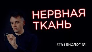 Нервная ткань I ЕГЭ Биология | Даниил Дарвин