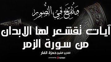 آيات تقشعر لها الابدان من سورة الزمر | بصوت الشيخ حمزة الفار