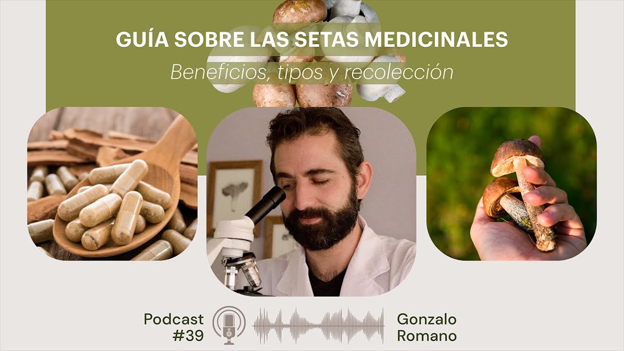 CAPÍTULO #39 - Guía sobre las setas medicinales: beneficios, tipos y recolección.
