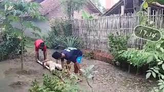 Story wa azab tukang coli