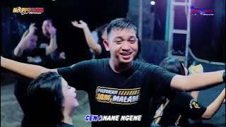 Download lagu HAPPY LOSS KARAOKE - CUNDAMANI - BIRTHDAY PARTY 3TH ALFAREZI PUTRA F. - GOLD CAFE KUDUS