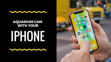 How To Use/Program/Set Up Your Iphone As A Webcam With Neptune Apex Fusion Controller