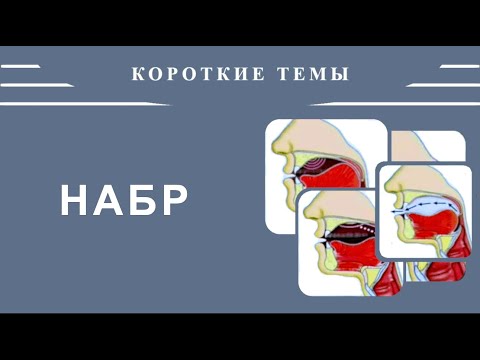 Айман Сувейд. 4. Короткие темы: НАБР (русские субтитры)