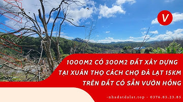 Đất Xuân Thọ 1000m2 có 300m2 đất xây dựng cách trung tâm Đà Lạt 15km 8,3 tỷ | Flycam