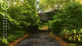 NYC Autumn Rain in Central Park - Manhattan, New York 4K