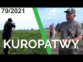 SUDECKA OSTOJA 79/2021. Polowanie na kuropatwy. Hunting partridges. Polowanie z wyżłem.