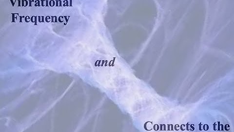 Vibration, Frequency, Self and the Universe