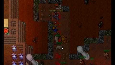 Apprentice Sheng - Menera