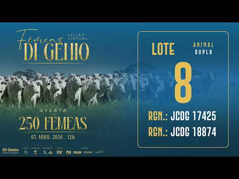 LOTE 8 JCDG 17425 18874