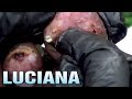 Luciana follow up DIGGING (Extended Cut)