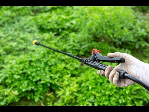 Как уберечь растения от стресса?