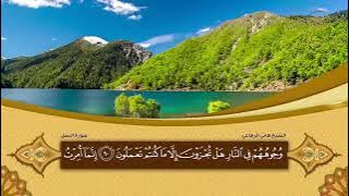 Al Qur’an Juz 20  Syaikh Hani Ar Rifai