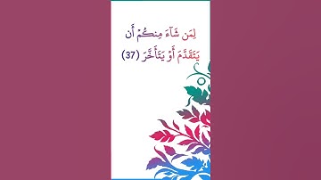 آيات من سورة المدثر بدون مؤثرات صوتية