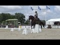 World championship working equitation 2022 in les herbiers dressage test mendes mafalda on isco
