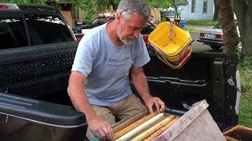 DIY Pole & Bucket Swarm Capture 25