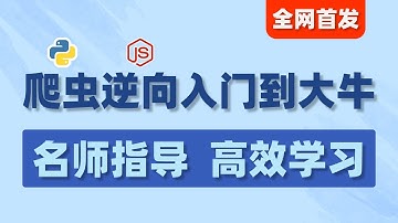【懂逆向真爬虫】2024年吃透Python爬虫进阶JS逆向教程，自学无虑，避开99%弯路！（存下吧，全程通俗易懂，学完直接面试上岗！！）