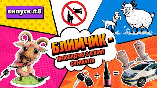 Блимчик. Випуск 8 - 🐏 Баран - Блимчик Непосидюк з клану сурикатів | Казка українською мовою