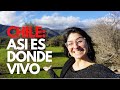 MI HOGAR EN CHILE, ASÍ ES NOGALES | Danielavoyyvuelvo 👩‍🌾
