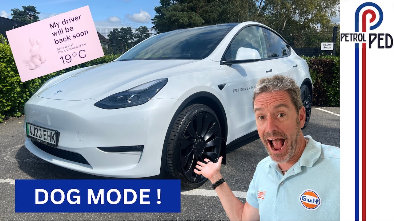 Why the Tesla Model Y is the best selling car in the WORLD !