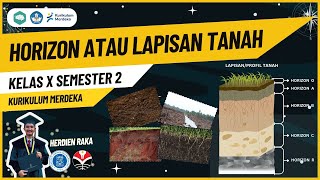 PEDOSPHERE: HORIZON / PROFILE / SOIL LAYER