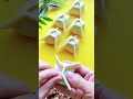 Wow Amazing, Dumpling Folding Made Simple