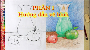Hướng dẫn vẽ tỉnh vật lọ và quả Phần I ( vẽ hình )/ NC Plan