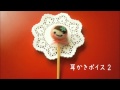 [音フェチ]耳かきボイス２[ASMR]