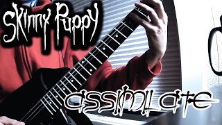 Skinny Puppy Guitar Cover - Assimilate